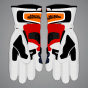 Guantes Luca Marini
