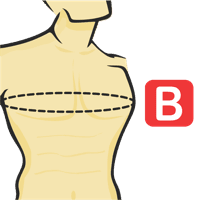 Circunferencia del pecho