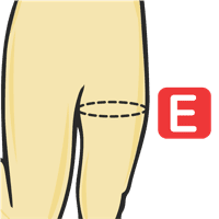 Circunferencia del muslo 