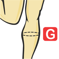 Circunferencia de la pantorrilla