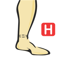 Circunferencia del tobillo