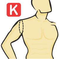 Circunferencia de la articulación de la manga