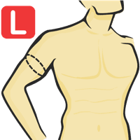 Circunferencia del bíceps