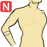 Circunferencia del antebrazo