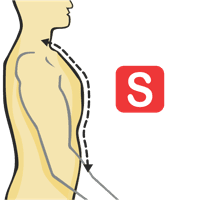 Cuello a cintura - Delantero