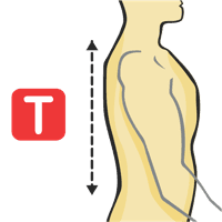 Cuello a cintura - Espalda
