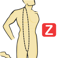 Circunferencia vertical del torso