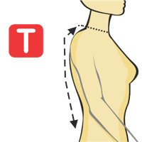 Cuello a cintura - Espalda