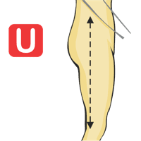 Cintura hasta la rodilla