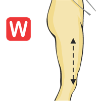 Entrepierna hasta la rodilla